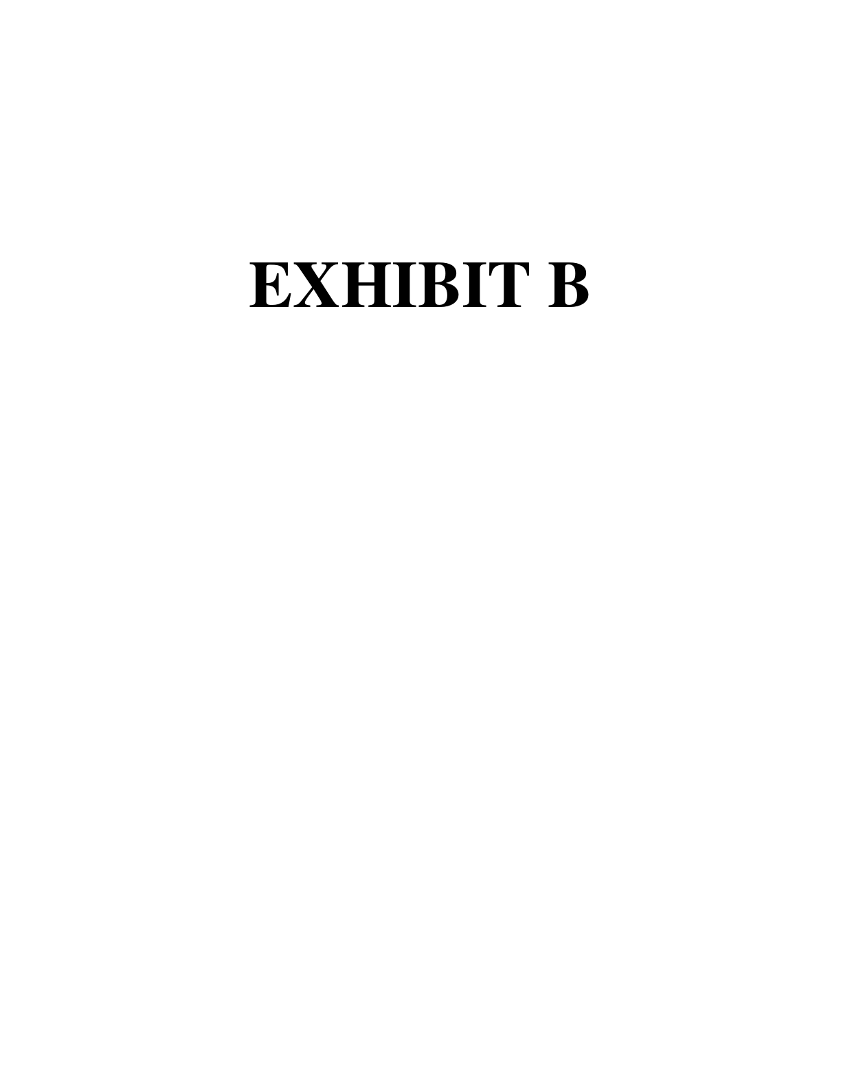 First page preview of McNeff v. McNeff Exhibit B